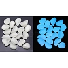 Plastic Imitation Luminous Stone Display Decoration PW-WG21176-02-1