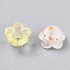 Frosted Transparent Acrylic Beads OACR-N137-72F-3