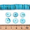 Natural Freshwater Shell Beads Strands SHEL-N037-03A-03-4
