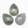 Natural Labradorite Cabochons X-G-E491-B-14-1