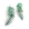 Chicken Feather Costume Accessories FIND-Q048-13-1