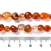 Natural Carnelian Beads Strands X-G-P497-01C-35-5