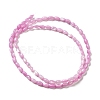 Natural Trochus Shell Beads Strands SHEL-K006-19-3