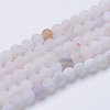 Natural & Dyed Crackle Agate Bead Strands G-T056-10mm-04-1