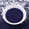 MIYUKI Delica Beads X-SEED-J020-DB2144-2