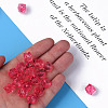 Transparent Acrylic Beads MACR-S373-132-B04-3