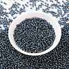 MIYUKI Round Rocailles Beads X-SEED-G008-RR2426-2
