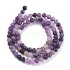 Natural Lepidolite/Purple Mica Stone Beads Strands G-K415-4mm-3