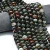 Natural African Bloodstone Beads Strands LS-G-P573-B13-01-1