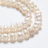 Natural Cultured Freshwater Pearl Beads Strands X-PEAR-L001-F-08-3