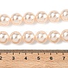 Electroplated Shell Pearl Beads Strands BSHE-G041-10mm-04-2