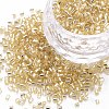 Glass Bugle Beads SEED-S032-08A-22-1