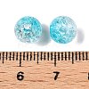 Transparent Crackle Acrylic Beads CACR-N002-22B-3