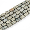 Natural Variscite Beads Strands G-N346-01B-14-2