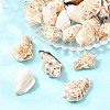 Natural Conch Shell Beads BSHE-O007-57-5