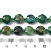 Dyed & Heated Natural Fire Crackle Agate Beads Strands G-C116-A177-01-5