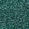 MIYUKI Round Rocailles Beads X-SEED-G008-RR2445-3