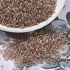 MIYUKI Delica Beads SEED-MY11-DB2373-1