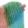Transparent Painted Glass Beads Strands DGLA-A034-T2mm-A17-2