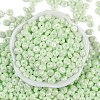 Opaque Colours Luster Glass Seed Beads SEED-P008-01C-02-3