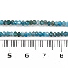 Natural Apatite Beads Strands X-G-F770-D09-02B-5
