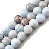 Natural Striped Stone Beads Strands G-D315-A01-01-12mm-2