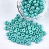 Baking Paint Glass Seed Beads SEED-Q025-5mm-M22-1