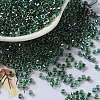 Glass Seed Beads X-SEED-S042-13A-18-1