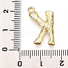 304 Stainless Steel Pendants STAS-N117-01G-K-3