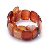 Natural Red Agate Beads Strands G-I245-31B-2