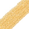 Glass Beads Strands EGLA-A044-T1mm-D03-1