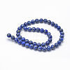 Natural Lapis Lazuli Beads Strands G-P335-09-8mm-2