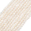 Natural Cultured Freshwater Pearl Beads Strands PEAR-L034-09A-2