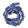 Natural Lapis Lazuli Beads Strands G-K311-05B-6