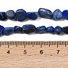 Natural Lapis Lazuli Beads Strands G-P597-B01-01-5