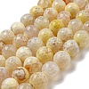 Faceted Natural Fire Crackle Agate Beads Strands G-F447-12mm-H02-2