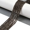 Natural Smoky Quartz Beads Strands G-P553-E06-01-2