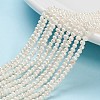 Natural Cultured Freshwater Pearl Beads PEAR-D050-1-1
