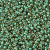 MIYUKI Round Rocailles Beads SEED-G007-RR0374-3