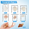 Natural Spiral Shell DIY Decorative Craft Material SHEL-SP0001-02-2