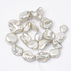 Shell Pearl Beads Strands X-BSHE-Q031-15G-2