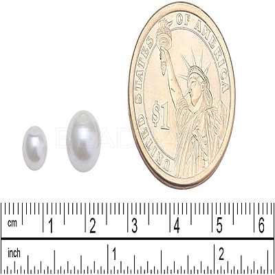 Eco-Friendly Dyed Glass Pearl Round Beads HY-BC0001-6mm-RB011-1