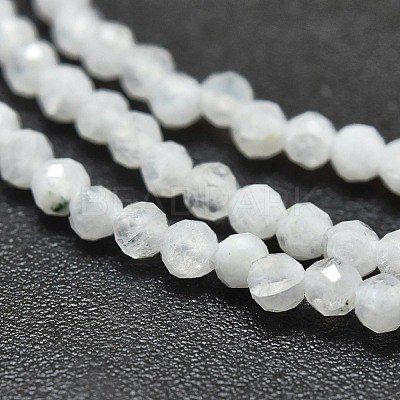 Natural Rainbow Moonstone Beads Strands G-O186-D02-1