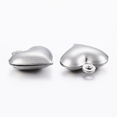 Tarnish Resistant 304 Stainless Steel Charms STAS-H413-16P-1