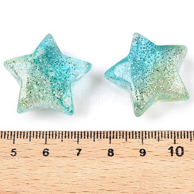 Gradient Color Transparrent Acrylic Eoropean Beads OACR-P024-03-03-1