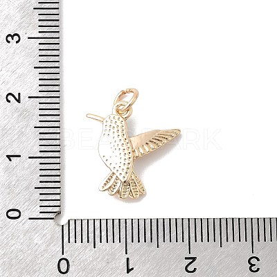 Brass Enamel Pendants KK-A277-09G-1
