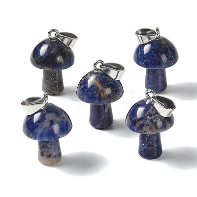 Natural Sodalite Pendants GG-CBAA0EE-05P-19-1