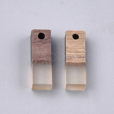Resin & Walnut Wood Pendants RESI-S358-19C-1