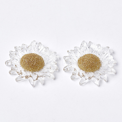 Resin Cabochons CRES-Q206-02-1