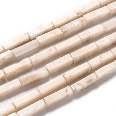 Natural Petrified Wood Beads Strands G-G837-20-1